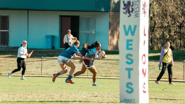 Premier 15s: Wests Lionesses v Canberra Royals: Round 13 Highlights