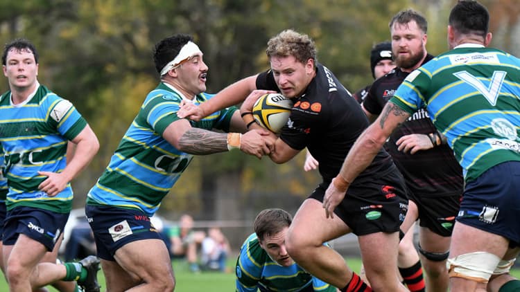 Uni-Norths Owls v Gungahlin Eagles: Round 2 Match Highlights