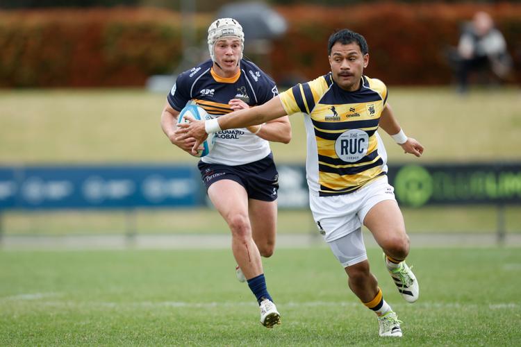 Declan Meredith for the Brumbies against the Griffins, photo by Greg Collis - @cbrsportsphotography.