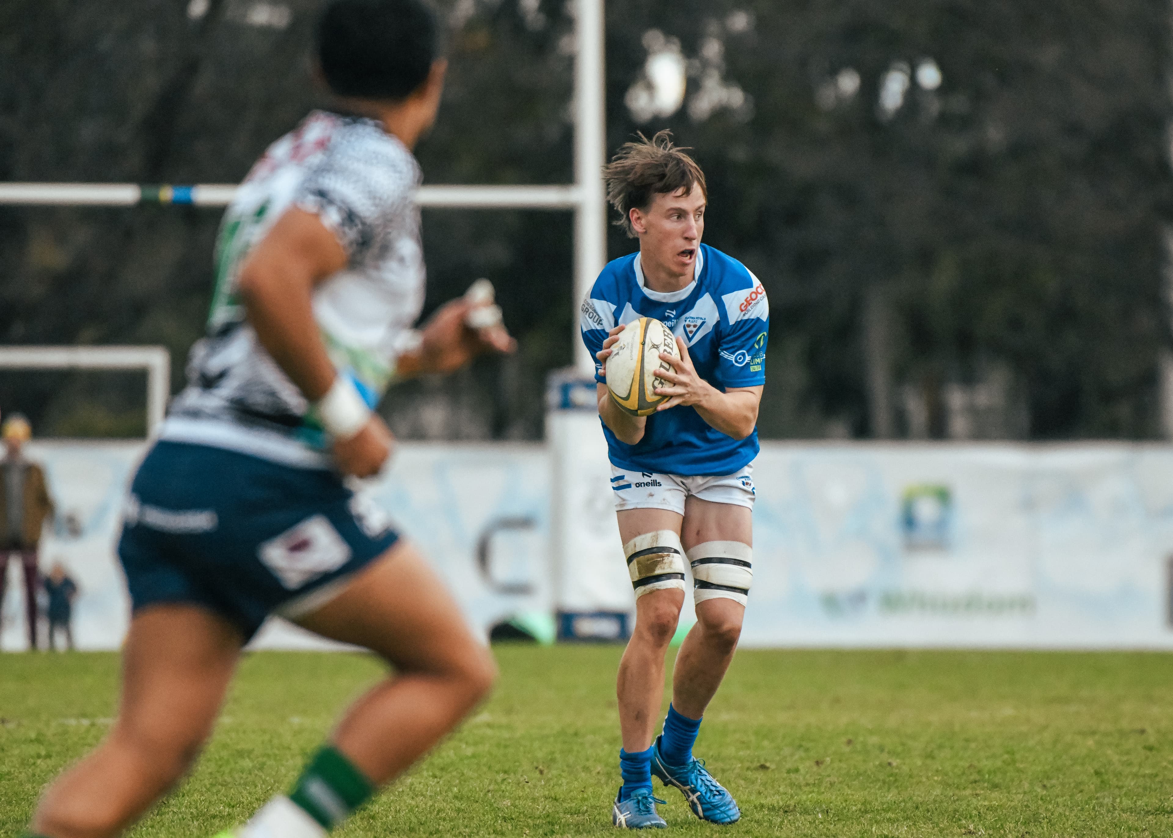 Royals Darcy Fogarty in 2024, photo by Lachlan Lawson - @lachlanlawsonphotography.