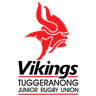 Vikings U14 Boys