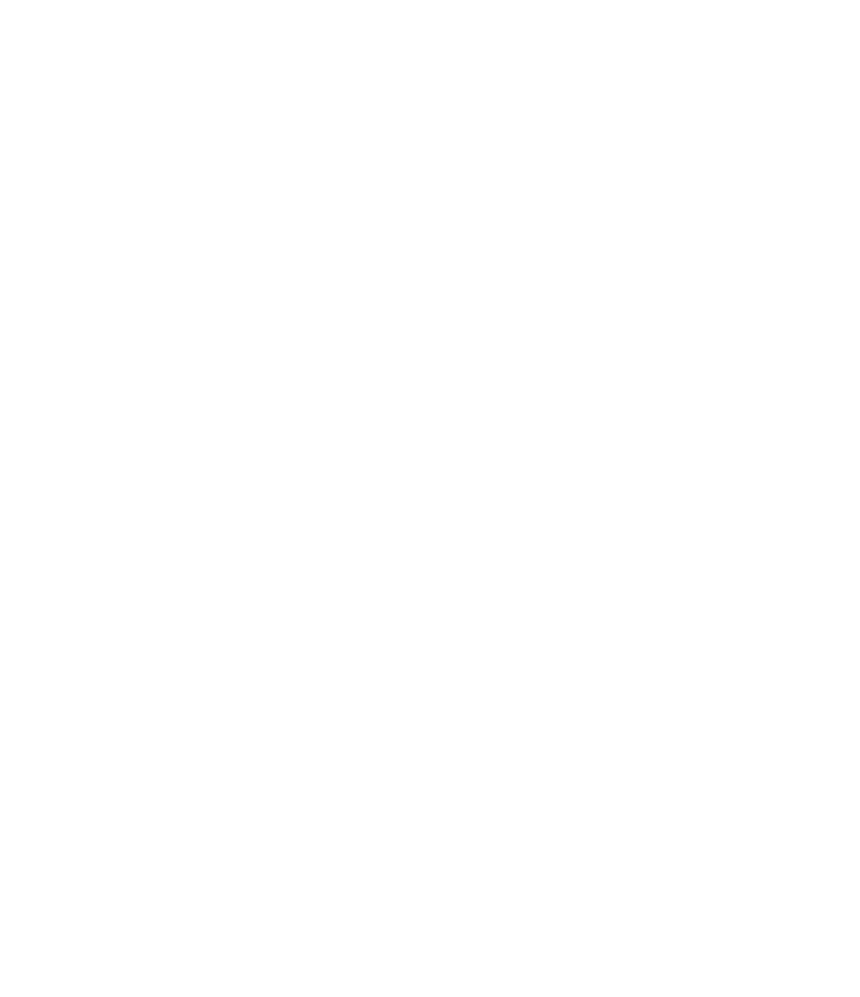 Brumbies mono logo