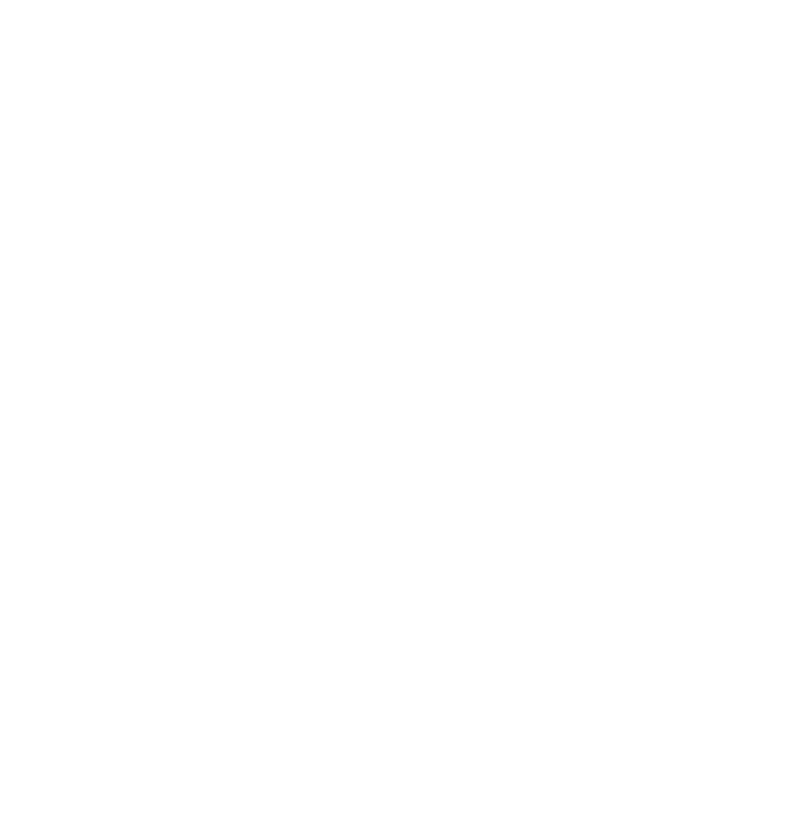 Brumbies White Logo