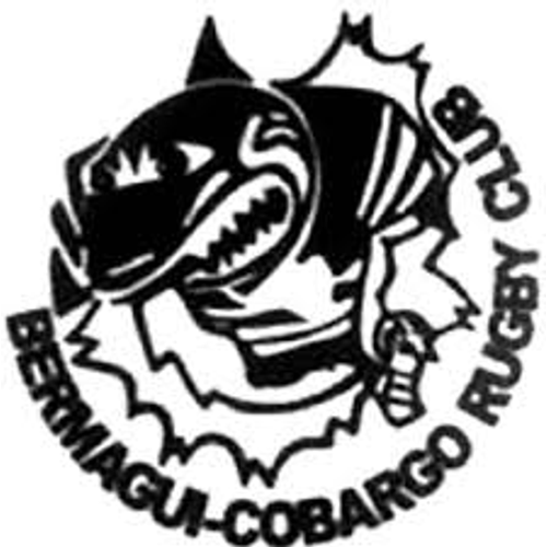 B.C Sharks 1st Grade