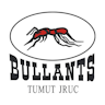 Bullants Touch U12's